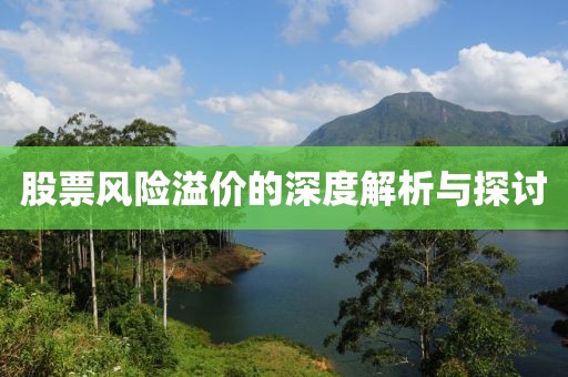股票风险溢价的深度解析与探讨