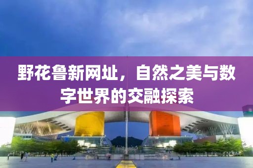 野花鲁新网址，自然之美与数字世界的交融探索