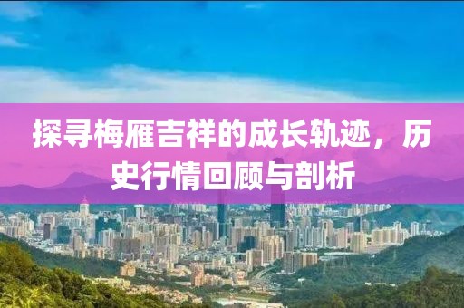 探寻梅雁吉祥的成长轨迹，历史行情回顾与剖析
