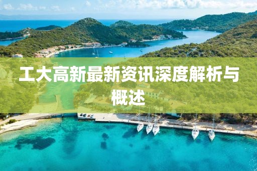 工大高新最新资讯深度解析与概述