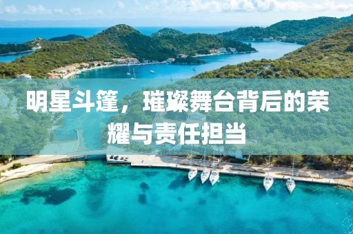 明星斗篷，璀璨舞台背后的荣耀与责任担当