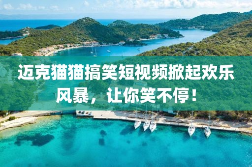 2024年12月 第28页