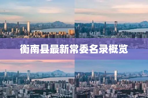 衡南县最新常委名录概览