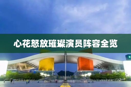 心花怒放璀璨演员阵容全览