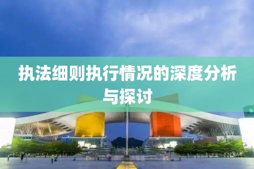 执法细则执行情况的深度分析与探讨