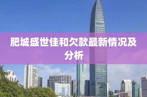 肥城盛世佳和欠款最新情况及分析