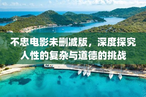 不忠电影未删减版，深度探究人性的复杂与道德的挑战