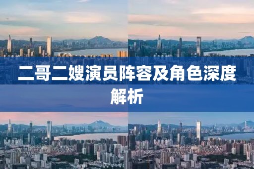 二哥二嫂演员阵容及角色深度解析