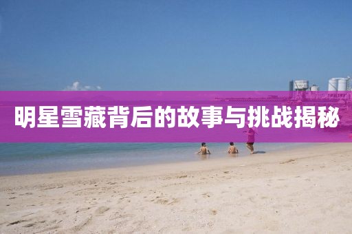 明星雪藏背后的故事与挑战揭秘