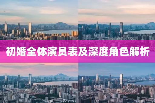 初婚全体演员表及深度角色解析