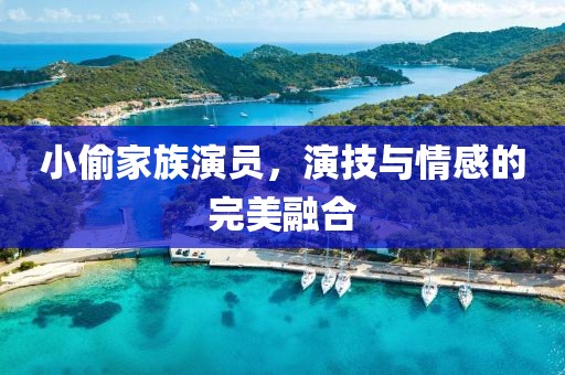 小偷家族演员，演技与情感的完美融合
