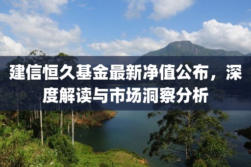 建信恒久基金最新净值公布，深度解读与市场洞察分析