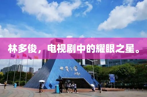林多俊，电视剧中的耀眼之星。