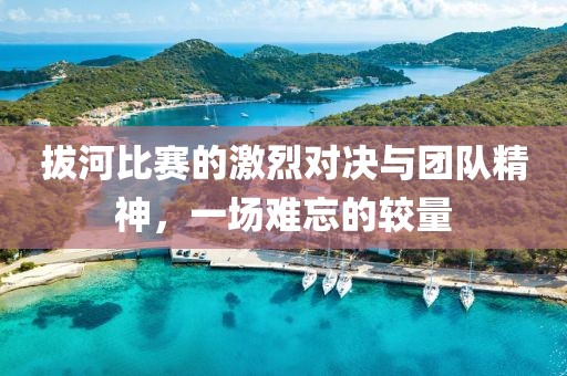 拔河比赛的激烈对决与团队精神，一场难忘的较量