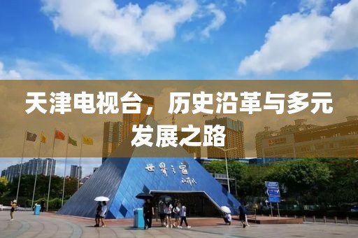 天津电视台，历史沿革与多元发展之路