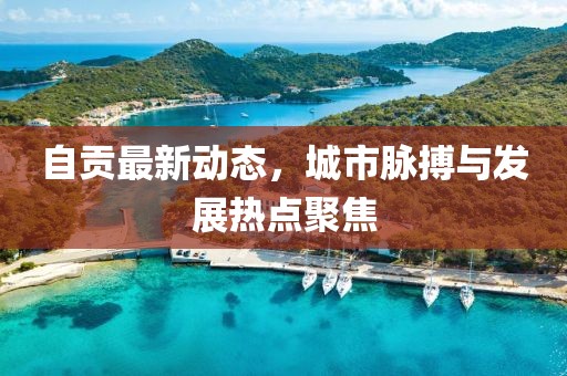 自贡最新动态，城市脉搏与发展热点聚焦