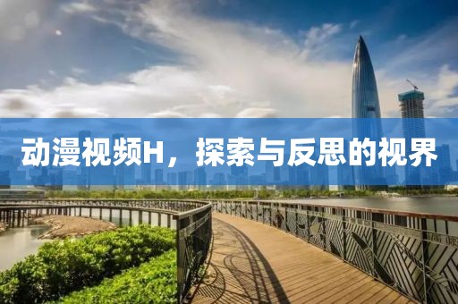 动漫视频H，探索与反思的视界