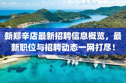 新郑辛店最新招聘信息概览，最新职位与招聘动态一网打尽！
