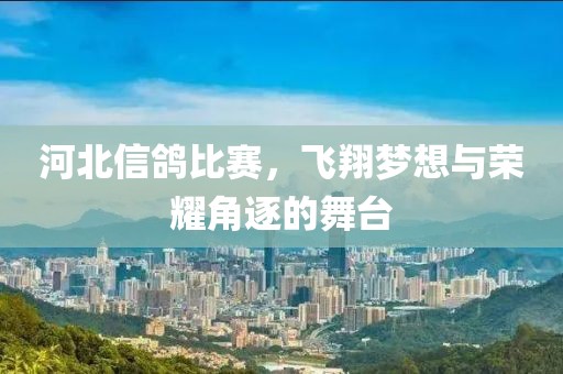 河北信鸽比赛，飞翔梦想与荣耀角逐的舞台