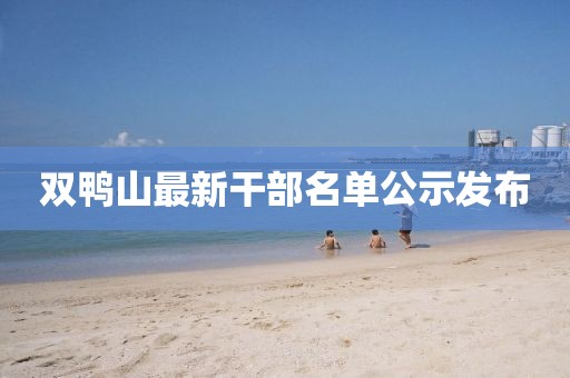 双鸭山最新干部名单公示发布