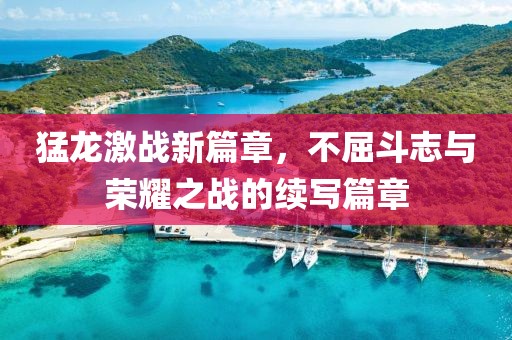 猛龙激战新篇章，不屈斗志与荣耀之战的续写篇章