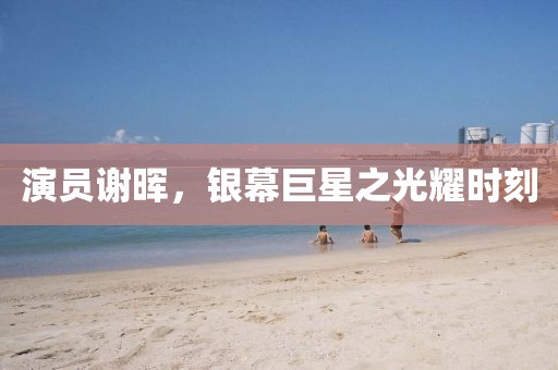 演员谢晖，银幕巨星之光耀时刻