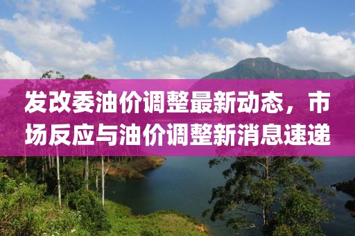发改委油价调整最新动态，市场反应与油价调整新消息速递