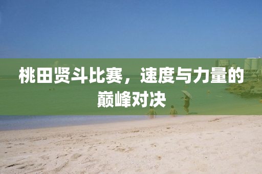 桃田贤斗比赛，速度与力量的巅峰对决