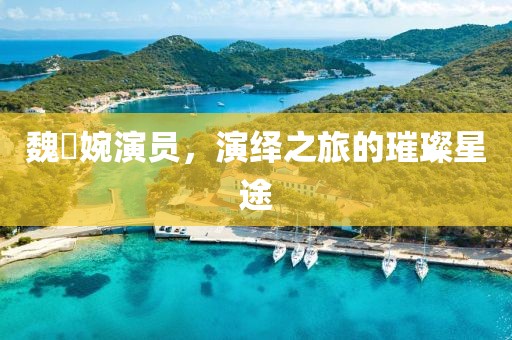 魏嬿婉演员，演绎之旅的璀璨星途