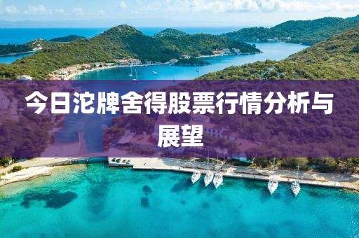 今日沱牌舍得股票行情分析与展望