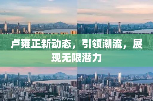 卢雍正新动态，引领潮流，展现无限潜力
