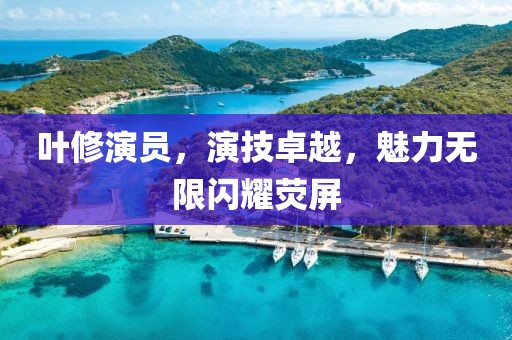 叶修演员，演技卓越，魅力无限闪耀荧屏