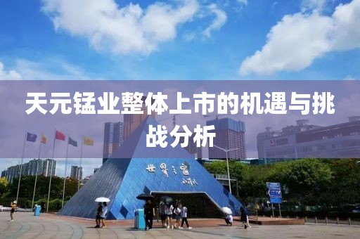 天元锰业整体上市的机遇与挑战分析