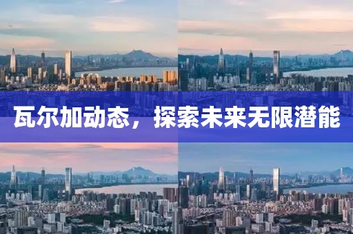 瓦尔加动态，探索未来无限潜能