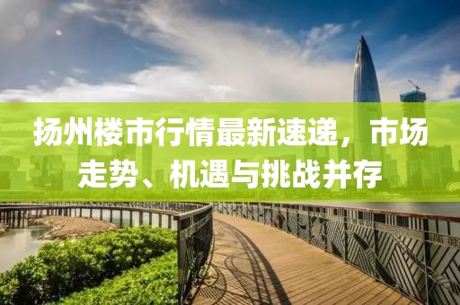 扬州楼市行情最新速递，市场走势、机遇与挑战并存
