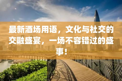 最新酒场用语，文化与社交的交融盛宴，一场不容错过的盛事！