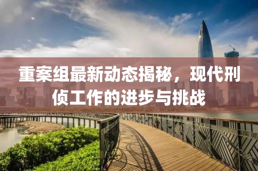 重案组最新动态揭秘，现代刑侦工作的进步与挑战