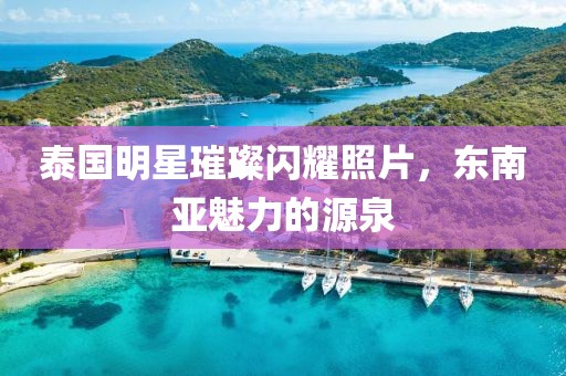 泰国明星璀璨闪耀照片，东南亚魅力的源泉