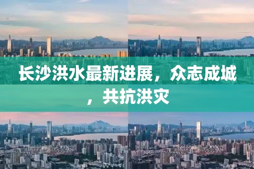 长沙洪水最新进展，众志成城，共抗洪灾