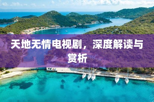 天地无情电视剧，深度解读与赏析
