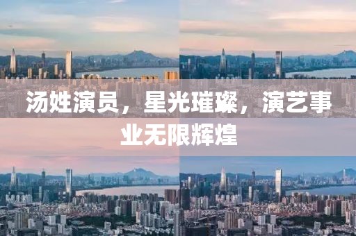 汤姓演员，星光璀璨，演艺事业无限辉煌