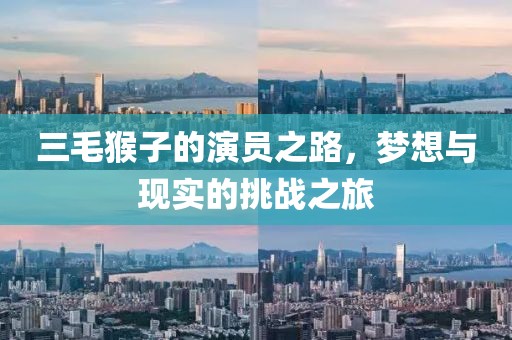 三毛猴子的演员之路，梦想与现实的挑战之旅