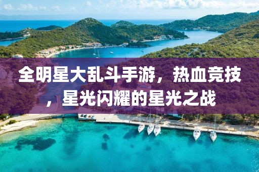 全明星大乱斗手游，热血竞技，星光闪耀的星光之战