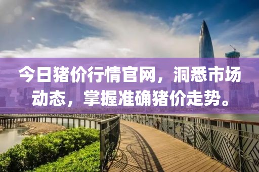 今日猪价行情官网，洞悉市场动态，掌握准确猪价走势。