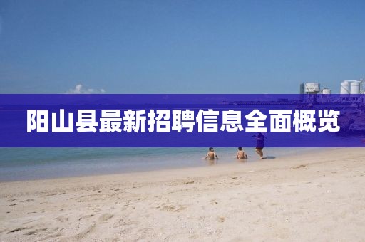 阳山县最新招聘信息全面概览