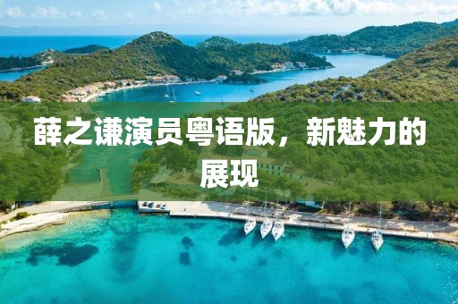 薛之谦演员粤语版，新魅力的展现