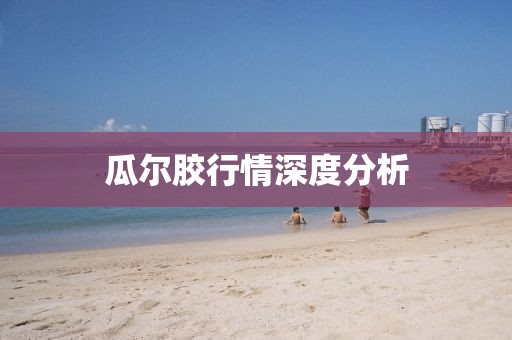 瓜尔胶行情深度分析