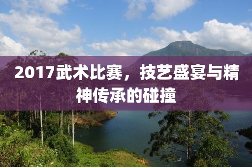 2017武术比赛，技艺盛宴与精神传承的碰撞