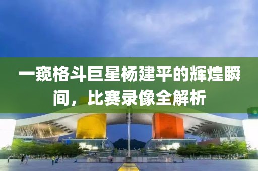 一窥格斗巨星杨建平的辉煌瞬间，比赛录像全解析