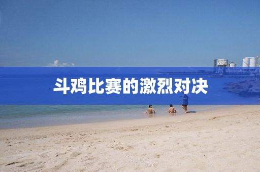 斗鸡比赛的激烈对决